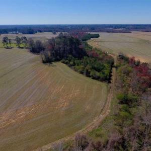 Photo of SOLD!!  81.75 Acres of Farm and Timber Land For Sale in Wilson County NC!