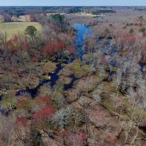 Photo of SOLD!!  81.75 Acres of Farm and Timber Land For Sale in Wilson County NC!