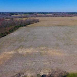 Photo of SOLD!!  81.75 Acres of Farm and Timber Land For Sale in Wilson County NC!