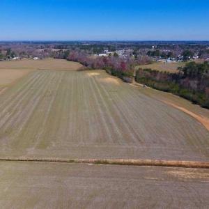 Photo of SOLD!!  81.75 Acres of Farm and Timber Land For Sale in Wilson County NC!