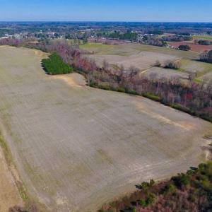 Photo of SOLD!!  81.75 Acres of Farm and Timber Land For Sale in Wilson County NC!