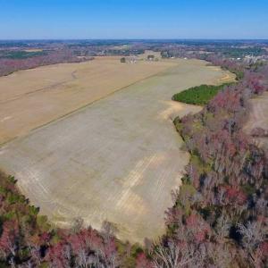 Photo of SOLD!!  81.75 Acres of Farm and Timber Land For Sale in Wilson County NC!