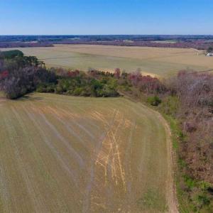 Photo of SOLD!!  81.75 Acres of Farm and Timber Land For Sale in Wilson County NC!