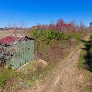 Photo of SOLD!!  81.75 Acres of Farm and Timber Land For Sale in Wilson County NC!