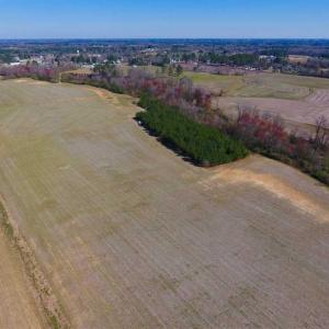 Photo of SOLD!!  81.75 Acres of Farm and Timber Land For Sale in Wilson County NC!