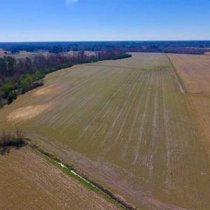 Photo of SOLD!!  81.75 Acres of Farm and Timber Land For Sale in Wilson County NC!