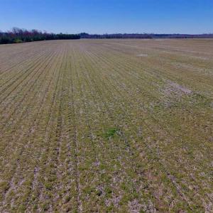 Photo of SOLD!!  81.75 Acres of Farm and Timber Land For Sale in Wilson County NC!