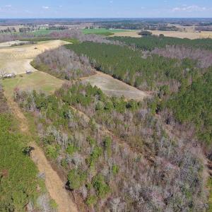 Photo of SOLD!  43 Acres of Farm and Timber Land For Sale in Wilson County NC!