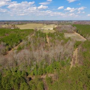 Photo of SOLD!  43 Acres of Farm and Timber Land For Sale in Wilson County NC!