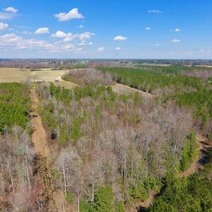 Photo of SOLD!  43 Acres of Farm and Timber Land For Sale in Wilson County NC!