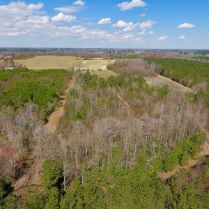 Photo of SOLD!  43 Acres of Farm and Timber Land For Sale in Wilson County NC!