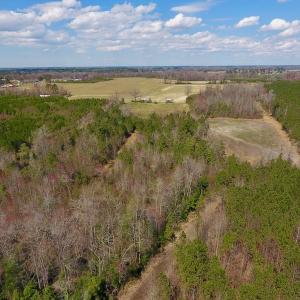Photo of SOLD!  43 Acres of Farm and Timber Land For Sale in Wilson County NC!