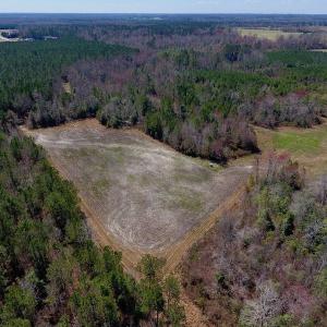 Photo of SOLD!  43 Acres of Farm and Timber Land For Sale in Wilson County NC!