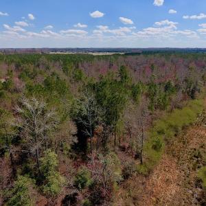 Photo of SOLD!  43 Acres of Farm and Timber Land For Sale in Wilson County NC!