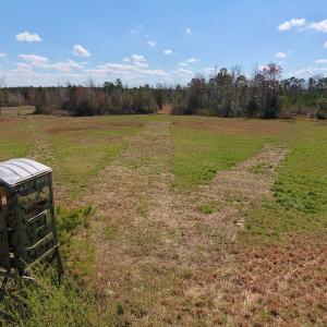 Photo of SOLD!  43 Acres of Farm and Timber Land For Sale in Wilson County NC!