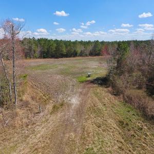 Photo of SOLD!  43 Acres of Farm and Timber Land For Sale in Wilson County NC!