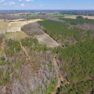 Photo of SOLD!  43 Acres of Farm and Timber Land For Sale in Wilson County NC!