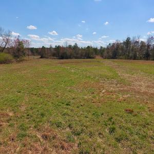 Photo of SOLD!  43 Acres of Farm and Timber Land For Sale in Wilson County NC!