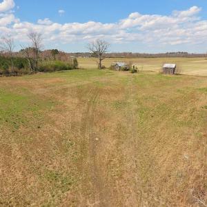 Photo of SOLD!  43 Acres of Farm and Timber Land For Sale in Wilson County NC!