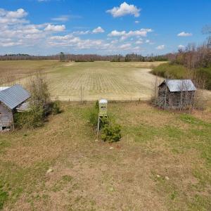 Photo of SOLD!  43 Acres of Farm and Timber Land For Sale in Wilson County NC!