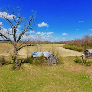 Photo of SOLD!  43 Acres of Farm and Timber Land For Sale in Wilson County NC!