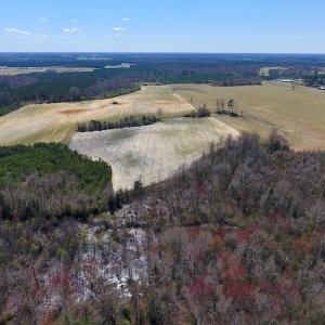 Photo of SOLD!  43 Acres of Farm and Timber Land For Sale in Wilson County NC!