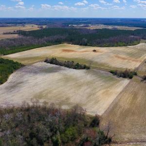 Photo of SOLD!  43 Acres of Farm and Timber Land For Sale in Wilson County NC!