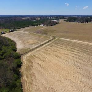 Photo of SOLD!  43 Acres of Farm and Timber Land For Sale in Wilson County NC!