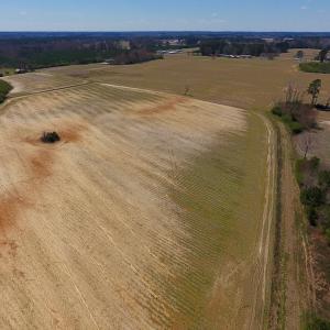 Photo of SOLD!  43 Acres of Farm and Timber Land For Sale in Wilson County NC!