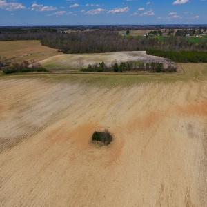 Photo of SOLD!  43 Acres of Farm and Timber Land For Sale in Wilson County NC!