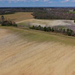 Photo of SOLD!  43 Acres of Farm and Timber Land For Sale in Wilson County NC!
