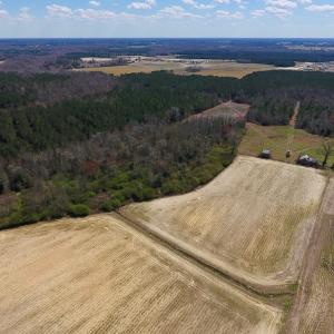 Photo of SOLD!  43 Acres of Farm and Timber Land For Sale in Wilson County NC!