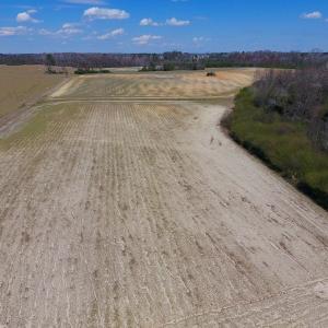 Photo of SOLD!  43 Acres of Farm and Timber Land For Sale in Wilson County NC!
