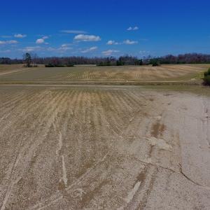 Photo of SOLD!  43 Acres of Farm and Timber Land For Sale in Wilson County NC!
