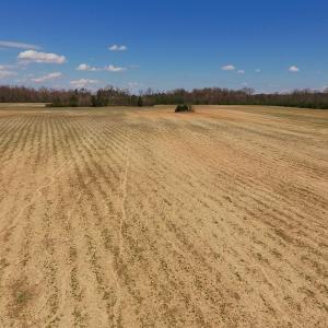 Photo of SOLD!  43 Acres of Farm and Timber Land For Sale in Wilson County NC!