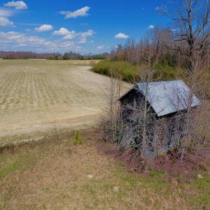 Photo of SOLD!  43 Acres of Farm and Timber Land For Sale in Wilson County NC!