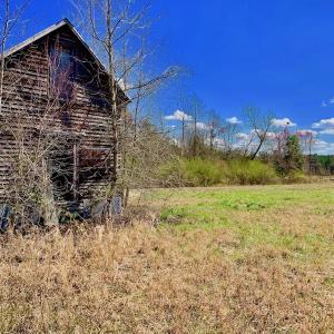 Photo of SOLD!  43 Acres of Farm and Timber Land For Sale in Wilson County NC!