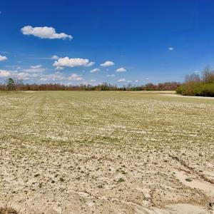 Photo of SOLD!  43 Acres of Farm and Timber Land For Sale in Wilson County NC!
