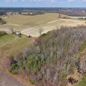 Photo of SOLD!  43 Acres of Farm and Timber Land For Sale in Wilson County NC!