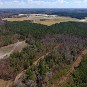 Photo of SOLD!  43 Acres of Farm and Timber Land For Sale in Wilson County NC!