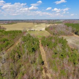 Photo of SOLD!  43 Acres of Farm and Timber Land For Sale in Wilson County NC!