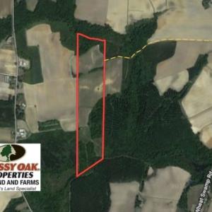 Photo of SOLD!  43 Acres of Farm and Timber Land For Sale in Wilson County NC!