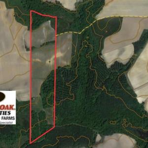 Photo of SOLD!  43 Acres of Farm and Timber Land For Sale in Wilson County NC!