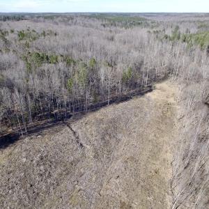 Photo of UNDER CONTRACT!  53.75 Acres of Hunting and Recreational Land For Sale in Lunenburg County VA!