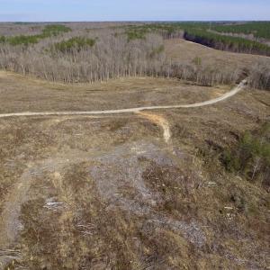 Photo of UNDER CONTRACT!  53.75 Acres of Hunting and Recreational Land For Sale in Lunenburg County VA!