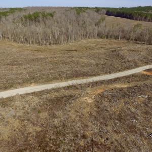 Photo of UNDER CONTRACT!  53.75 Acres of Hunting and Recreational Land For Sale in Lunenburg County VA!