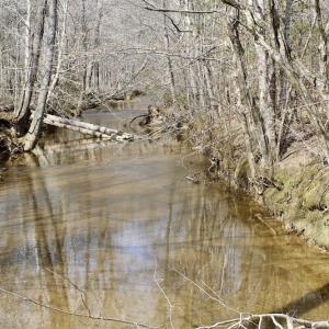 Photo of UNDER CONTRACT!  53.75 Acres of Hunting and Recreational Land For Sale in Lunenburg County VA!