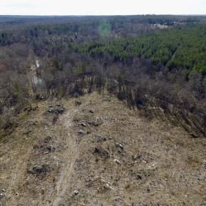 Photo of UNDER CONTRACT!  53.75 Acres of Hunting and Recreational Land For Sale in Lunenburg County VA!