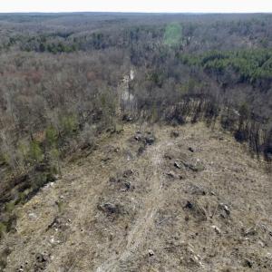 Photo of UNDER CONTRACT!  53.75 Acres of Hunting and Recreational Land For Sale in Lunenburg County VA!