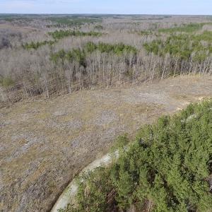 Photo of UNDER CONTRACT!  53.75 Acres of Hunting and Recreational Land For Sale in Lunenburg County VA!